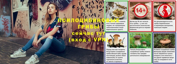 прущие крисы Дмитров
