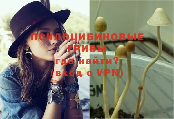 прущие крисы Дмитров